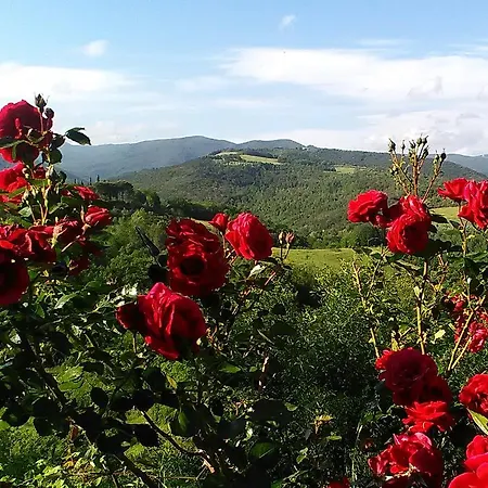Ferienhaus La Casa Di Nonna Lucia *